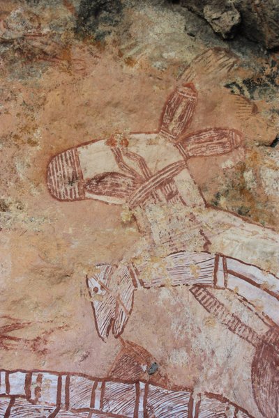 Canguro de rayos X de Unbekannt Unbekannt